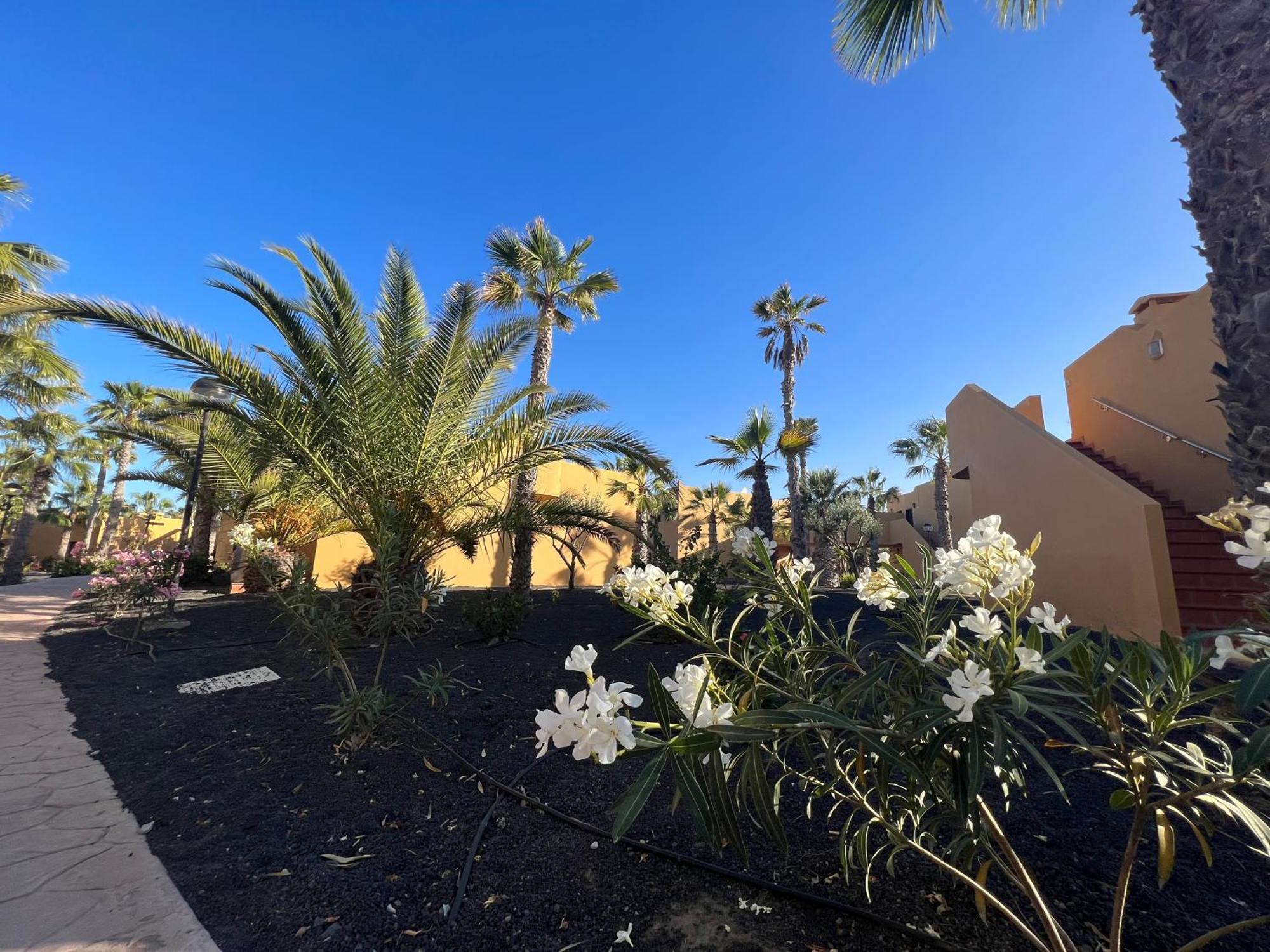 Apartamento Casa De Leon Corralejo Exterior foto