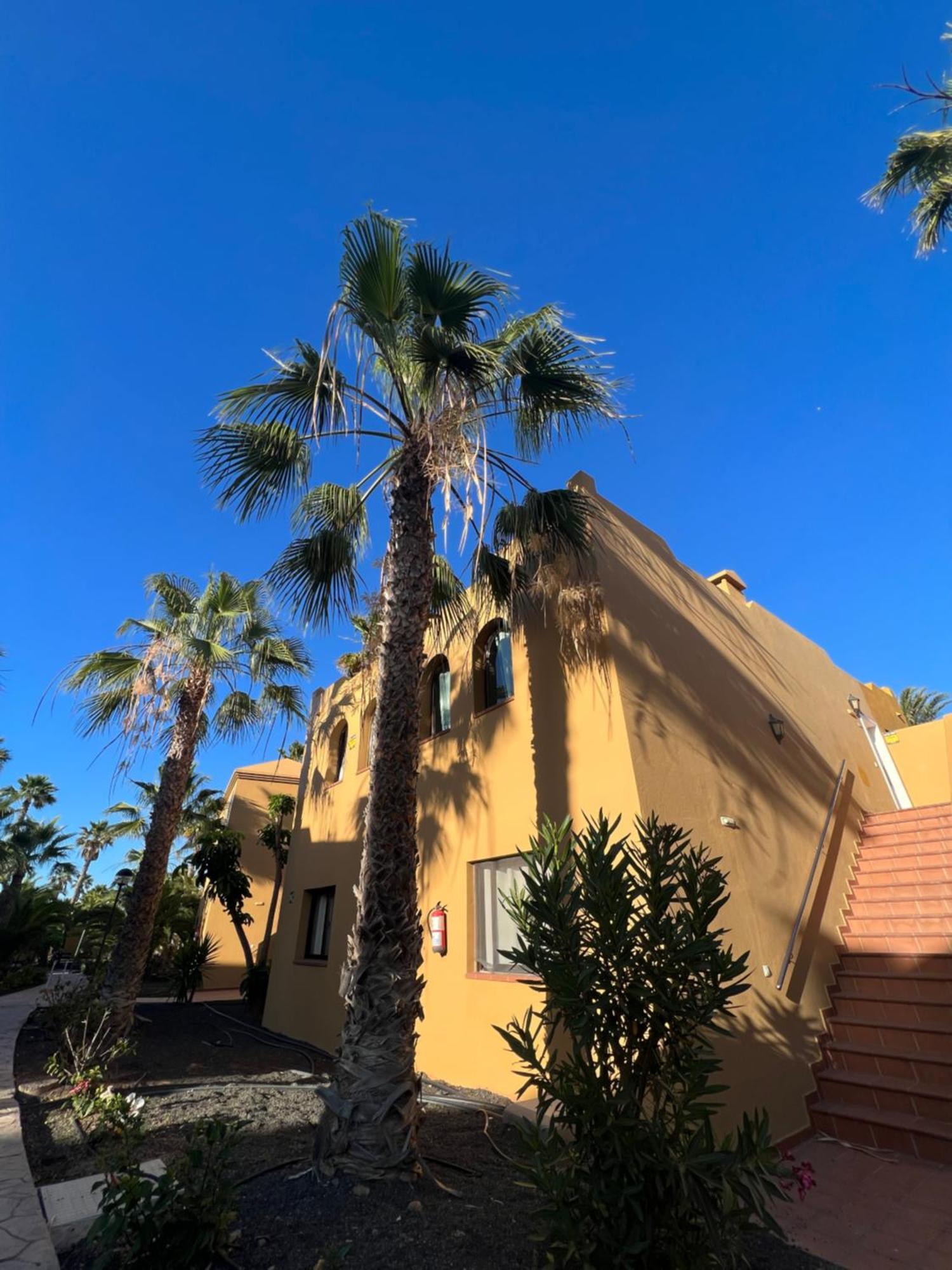 Apartamento Casa De Leon Corralejo Exterior foto